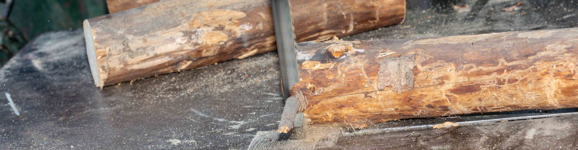 Veteranen_2025_Header_09